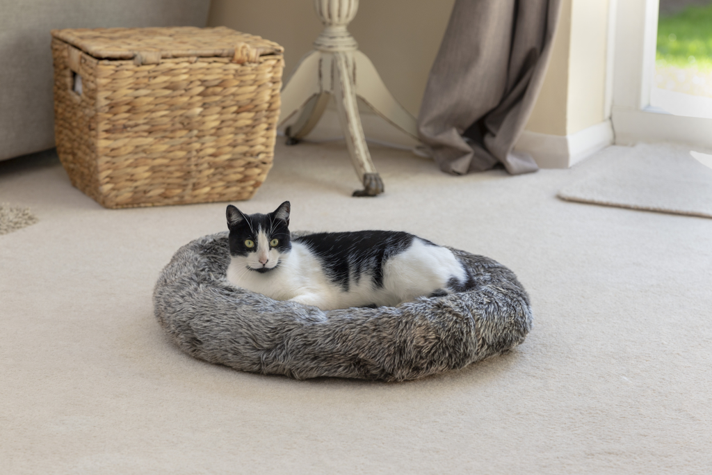 Mikki Cat Luxury Snoozer Bed Pillow, Charcoal