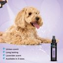  Groom Professional Lavender Cologne  - 100 ml