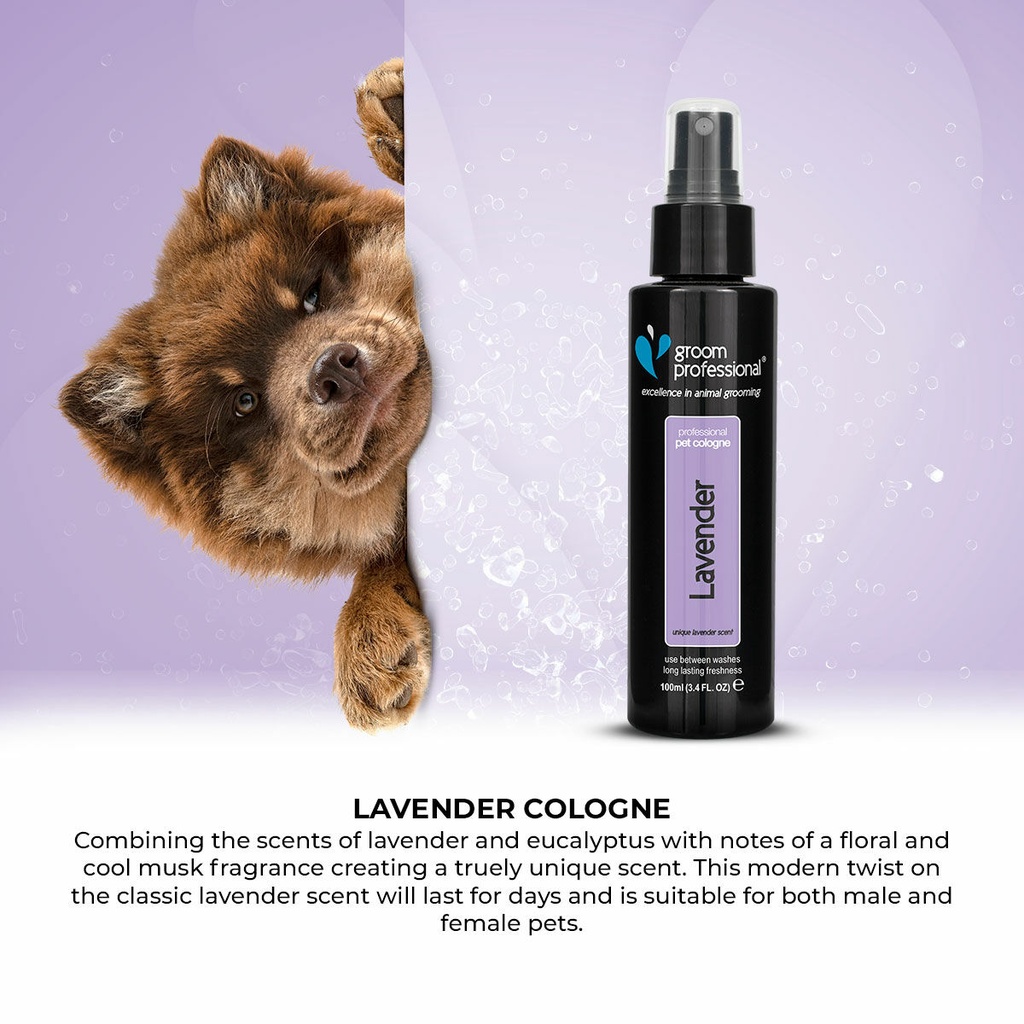  Groom Professional Lavender Cologne  - 100 ml