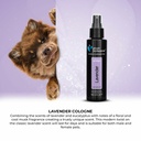  Groom Professional Lavender Cologne  - 100 ml