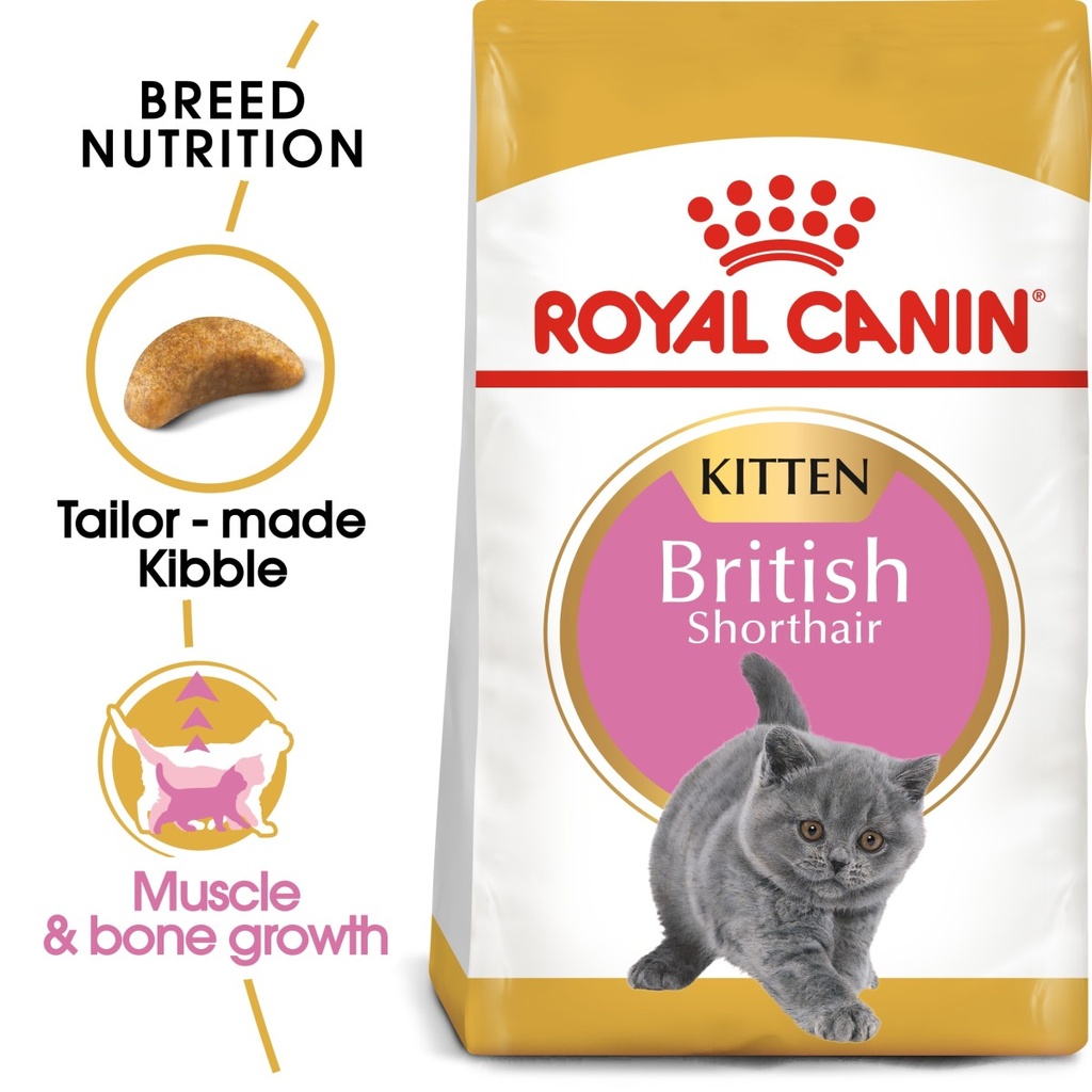 Feline Breed Nutrition British Shorthair Kitten