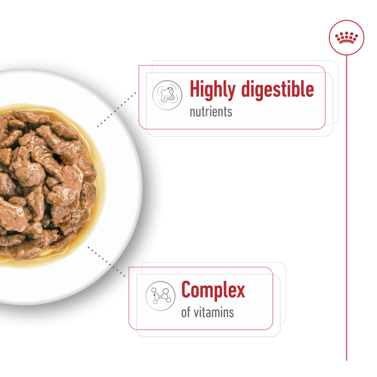 Size Health Nutrition Mini Adult (Wet Food - Pouches) 85 g