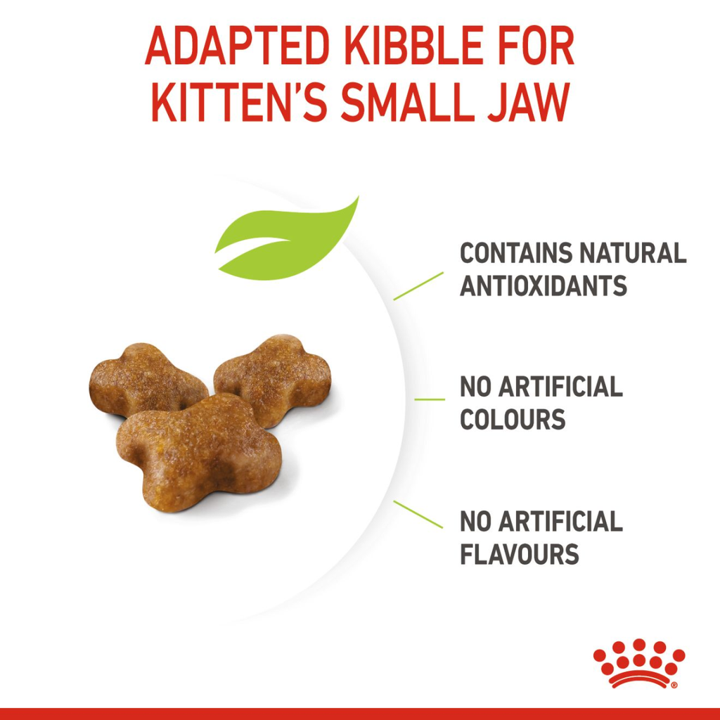 Feline Health Nutrition Kitten