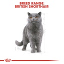 Feline Breed Nutrition British Shorthair Adult