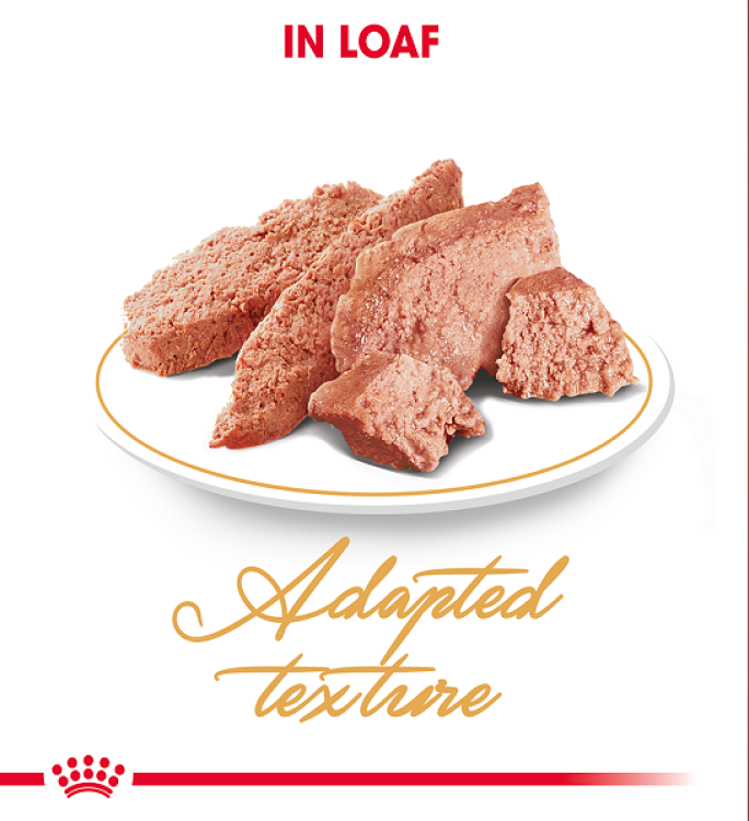 Feline Breed Nutrition Persian (Wet Food - Pouches)