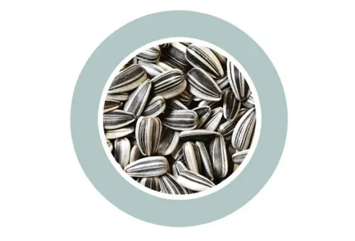 Padovan Sunseeds[Weight - 500g, Size - M]