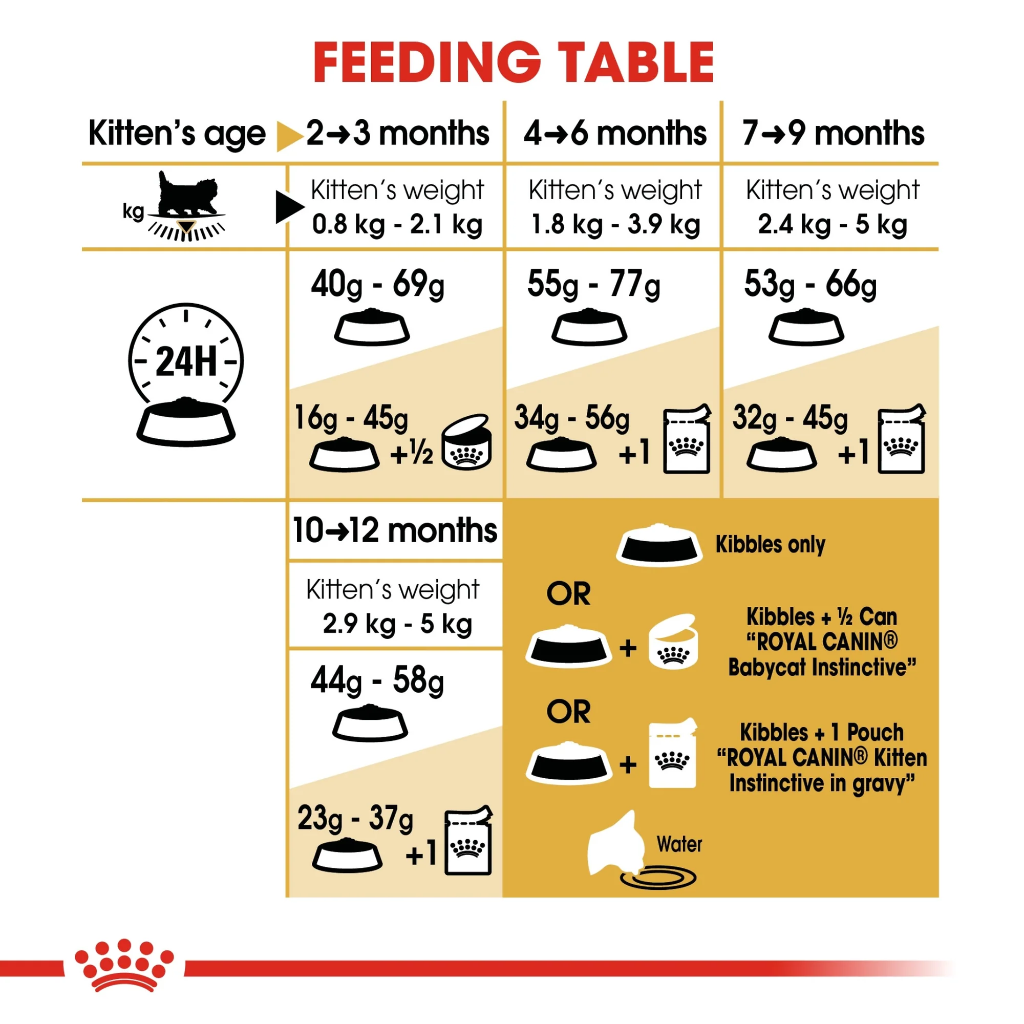 Feline Breed Nutrition Persian Kitten