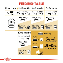 Feline Breed Nutrition Persian Kitten