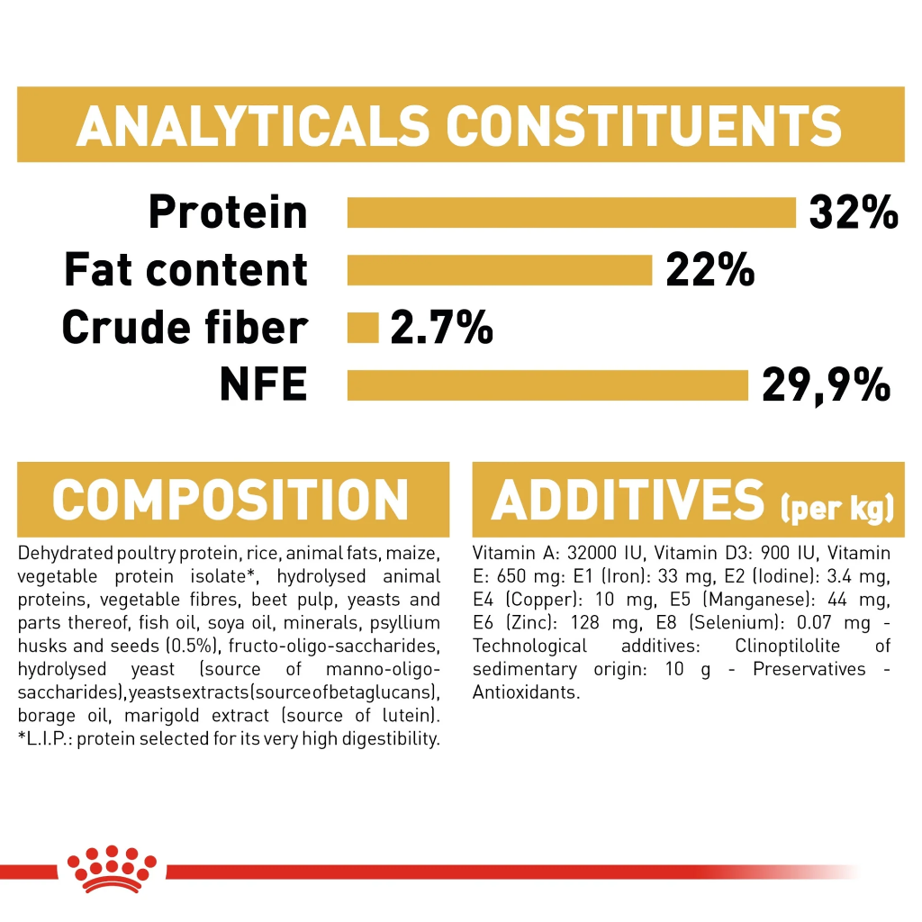 Feline Breed Nutrition Persian Kitten