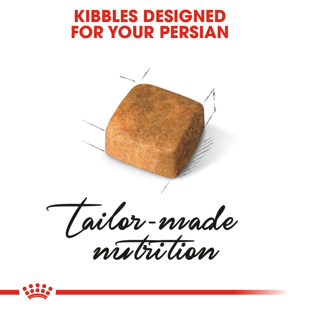 Feline Breed Nutrition Persian Kitten