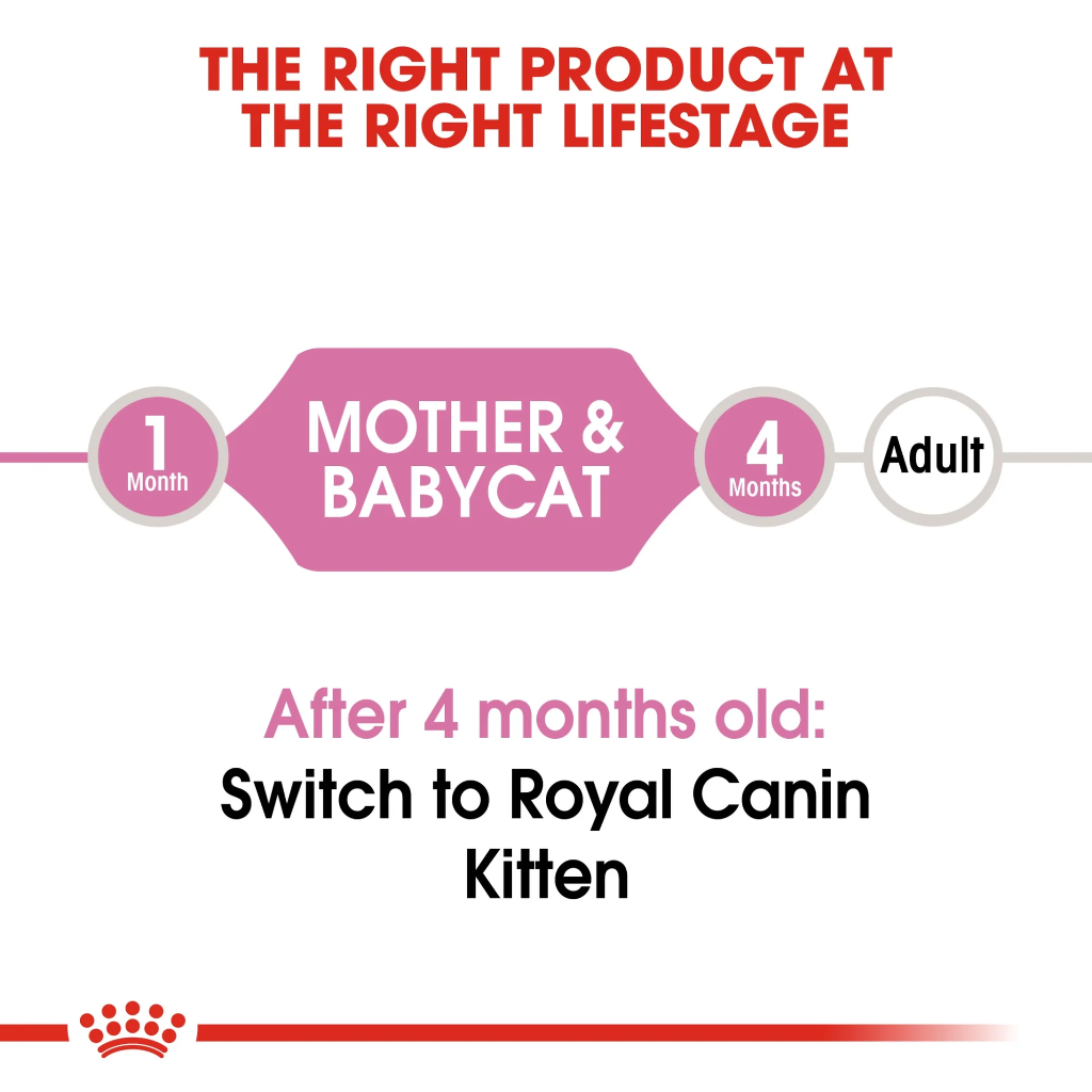 Feline Health Nutrition Mother & Babycat Mousse