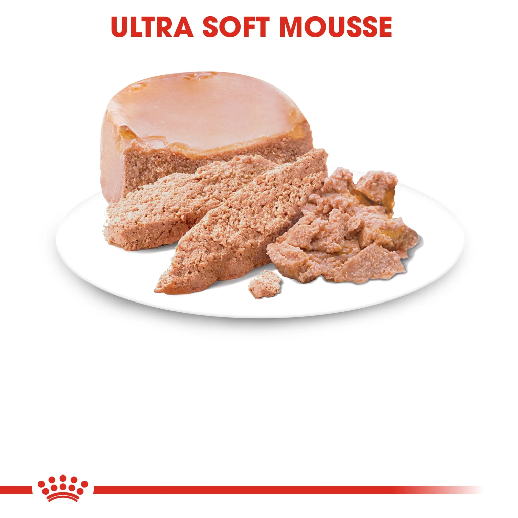 Feline Health Nutrition Mother & Babycat Mousse