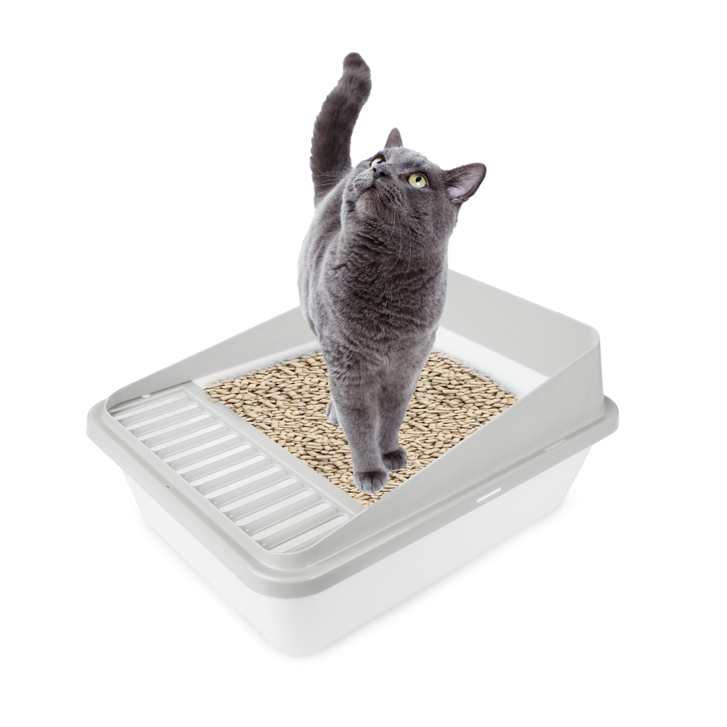 Go Fresh - High Back Cat Litter Box Small - Sand
