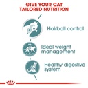Feline Care Nutrition Hairball Gravy (WET
FOOD - Pouches)