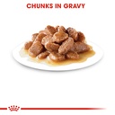 Feline Care Nutrition Hairball Gravy (WET
FOOD - Pouches)