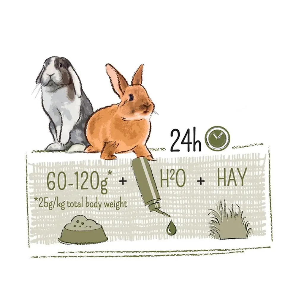 Witte Molen Puur Rabbit 600g[Weight - 600g]