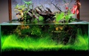 Dymax Shallow Aquarium 45CM X 24CM X18CM (5 MM)