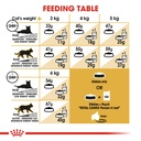 Feline Breed Nutrition Persian Adult
