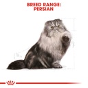 Feline Breed Nutrition Persian Adult