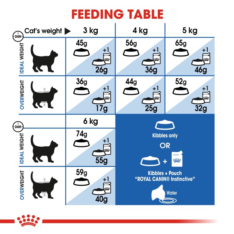 Feline Health Nutrition Indoor
