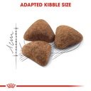 Feline Health Nutrition Indoor