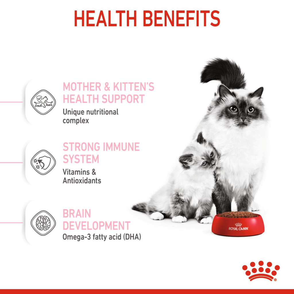 Feline Health Nutrition Mother and Babycat