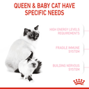 Feline Health Nutrition Mother and Babycat
