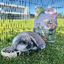 Witte Molen Puur Rabbit 600g[Weight - 600g]