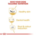 Breed Health Nutrition Shih Tzu Adult 1.5 KG