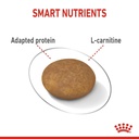 Canine Cear Nutrition XS Adult Light Weight Care 1.5 KG