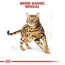 Feline Breed Nutrition Bengal Adult 2KG
