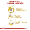 Feline Breed Nutrition Bengal Adult 2KG