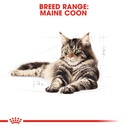 Feline Breed Nutrition Maine Coon Adult 2KG