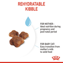 Feline Breed Nutrition Maine Coon Adult 2KG