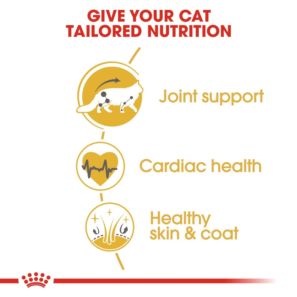Feline Breed Nutrition Maine Coon Adult 2KG