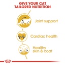 Feline Breed Nutrition Maine Coon Adult 2KG