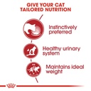 Feline Health Nutrition Instinctive Adult Cats Gravy (WET FOOD - Pouch)
