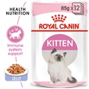 Feline Health Nutrition Kitten Jelly (WET FOOD -Pouch)