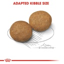 Size Health Nutrition Medium Adult 1KG