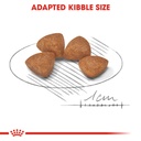 Size Health Nutrition XS Puppy 1.5 KG