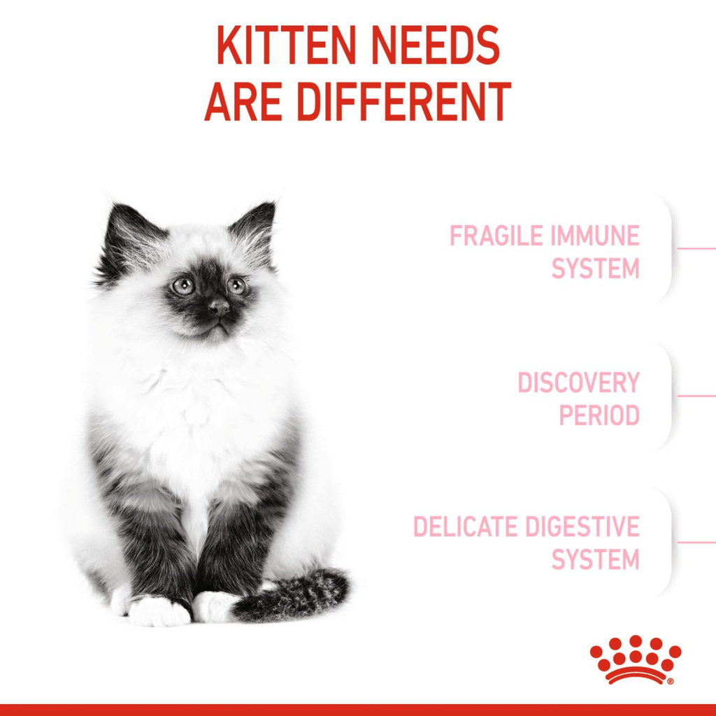 Feline Health Nutrition Kitten