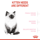 Feline Health Nutrition Kitten
