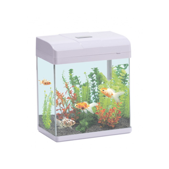 Perfect Aquarium 190X145X215