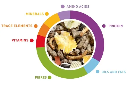 Padovan Wellness Hamster 1kg