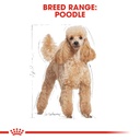 Breed Health Nutrition Poodle Adult 1.5 KG