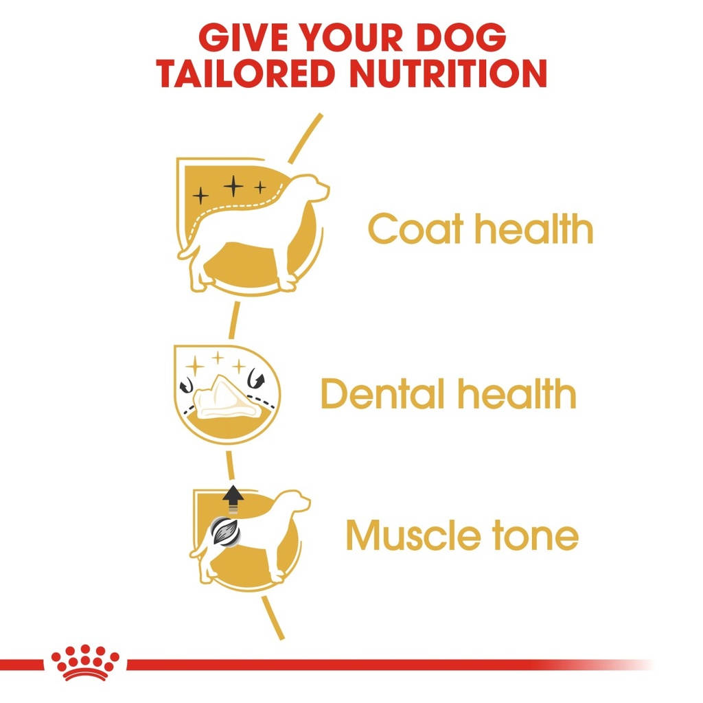 Breed Health Nutrition Poodle Adult