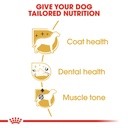 Breed Health Nutrition Poodle Adult