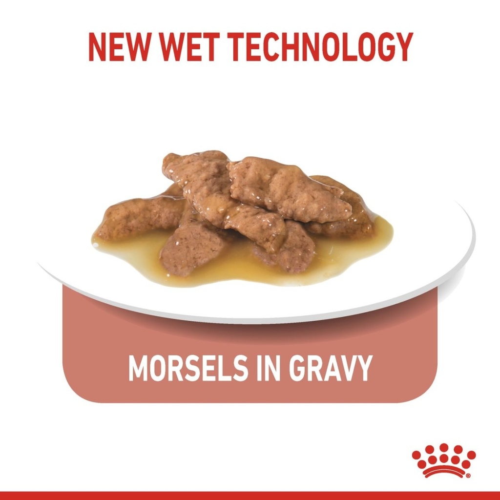 Feline Health Nutrition Indoor (WET FOOD - Pouches)