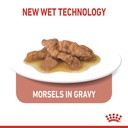Feline Health Nutrition Indoor (WET FOOD - Pouches)