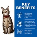 Hill's Science Plan Adult Wet Cat Food Turkey Pouches Wet - 85 g